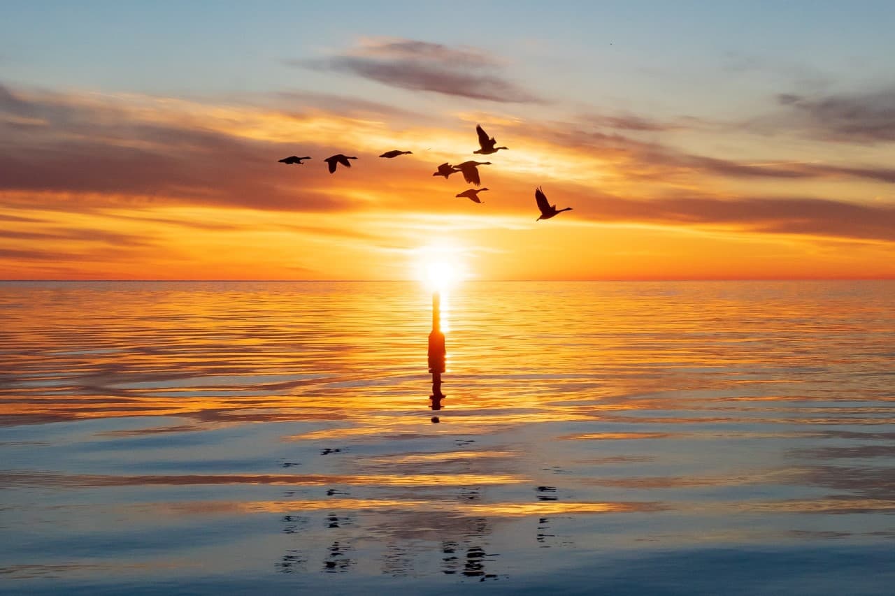 Migrating and open-sourcing my blog